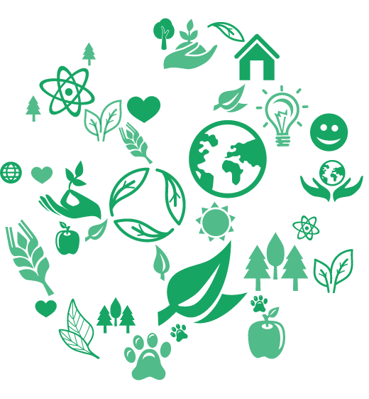 environmental illustration